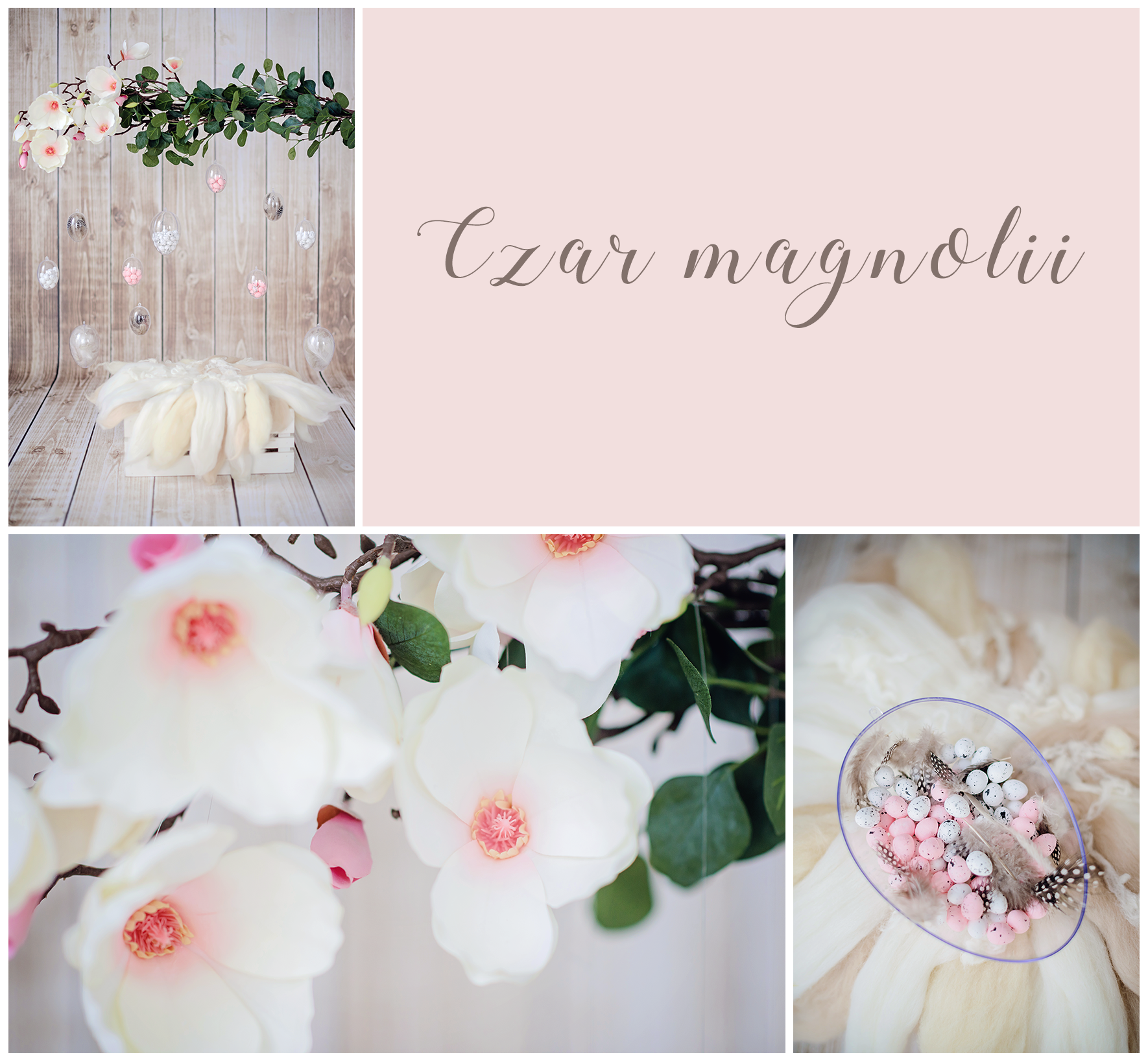 Czar magnolii.png